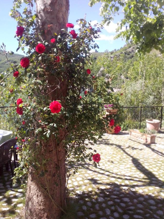 Hotel Turano Castel di Tora Dış mekan fotoğraf